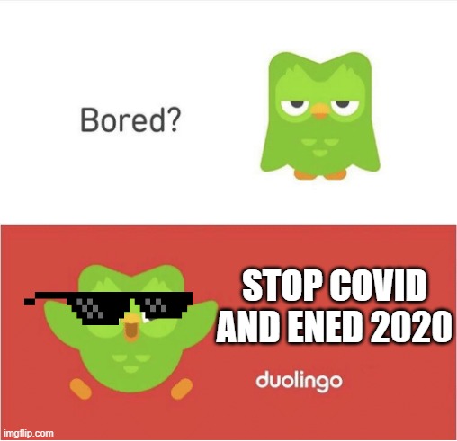 DUOLINGO BORED | STOP COVID AND ENED 2020 | image tagged in duolingo bored | made w/ Imgflip meme maker
