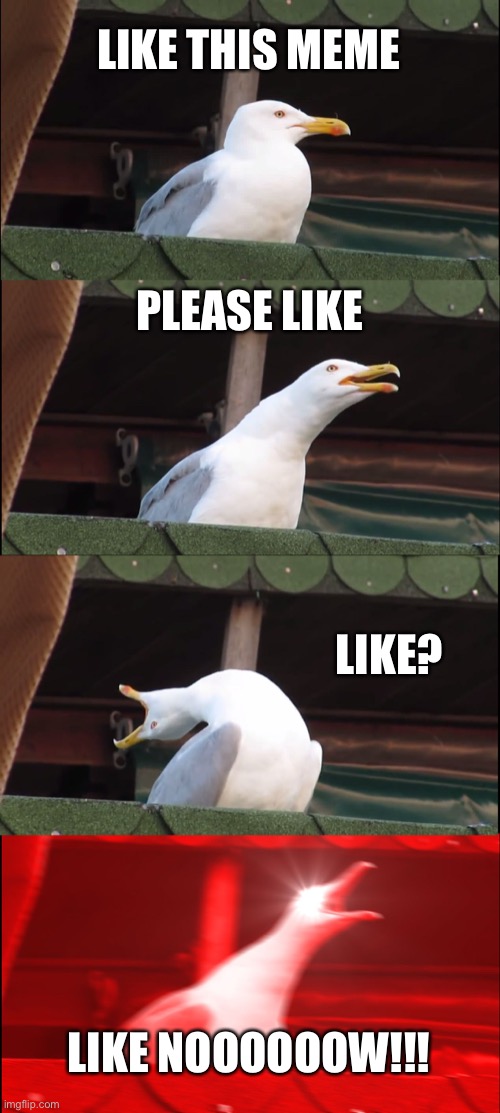 Angry outdoor seagull tells you to like this meme | LIKE THIS MEME; PLEASE LIKE; LIKE? LIKE NOOOOOOW!!! | image tagged in memes,inhaling seagull | made w/ Imgflip meme maker