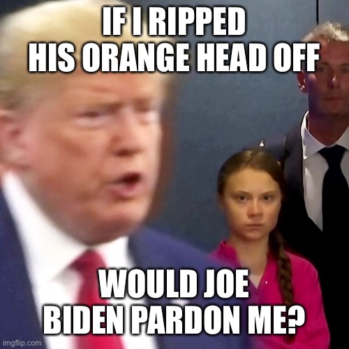 IF I RIPPED HIS ORANGE HEAD OFF WOULD JOE BIDEN PARDON ME? | made w/ Imgflip meme maker