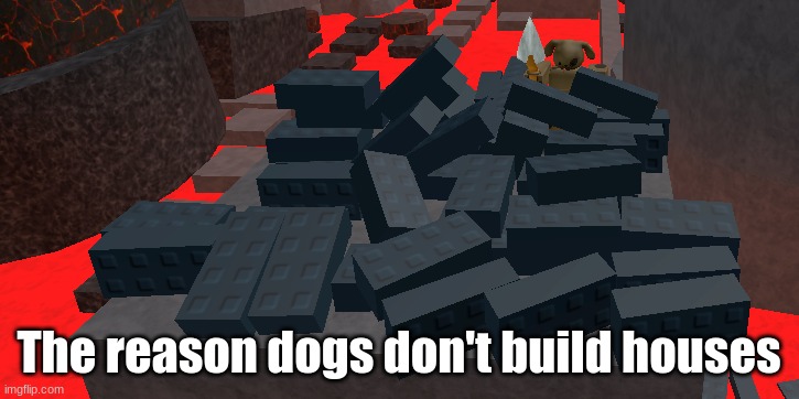 Construction Doggo | The reason dogs don't build houses | image tagged in dogs,building,doggo | made w/ Imgflip meme maker