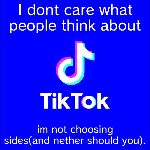 PEOPLE DONT NEED TO CHOOSE SIDES ITS STUPID | I dont care what people think about; im not choosing sides(and nether should you). | image tagged in tiktok logo | made w/ Imgflip meme maker