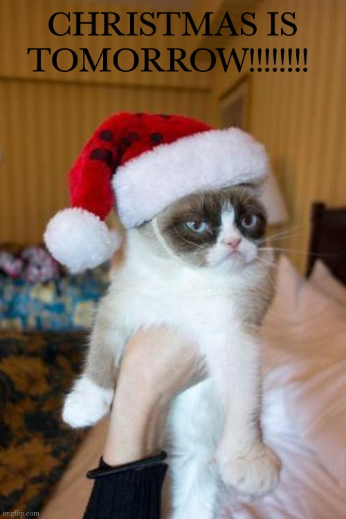 REEEEEE | CHRISTMAS IS TOMORROW!!!!!!!! | image tagged in memes,grumpy cat christmas,grumpy cat,christmas | made w/ Imgflip meme maker