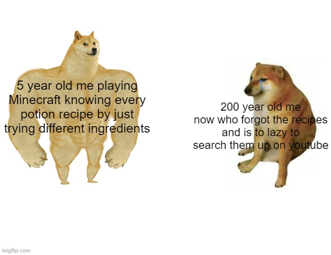 Buff Doge vs. Cheems Meme | 5 year old me playing Minecraft knowing every potion recipe by just trying different ingredients; 200 year old me now who forgot the recipes and is to lazy to search them up on youtube | image tagged in buff doge vs cheems,teacher,doge,5 years old me,minecraft,minecraft potions | made w/ Imgflip meme maker