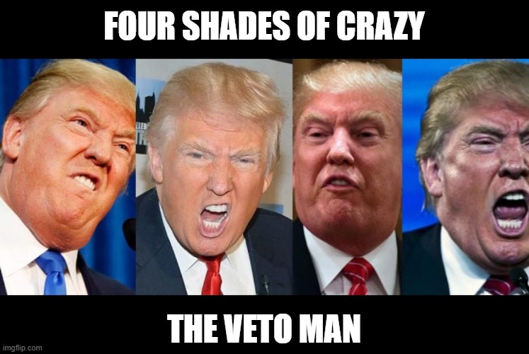 Bat Shit Crazy | FOUR SHADES OF CRAZY; THE VETO MAN | image tagged in veto,bat shit crazy,the great deal breaker,burn the house down | made w/ Imgflip meme maker