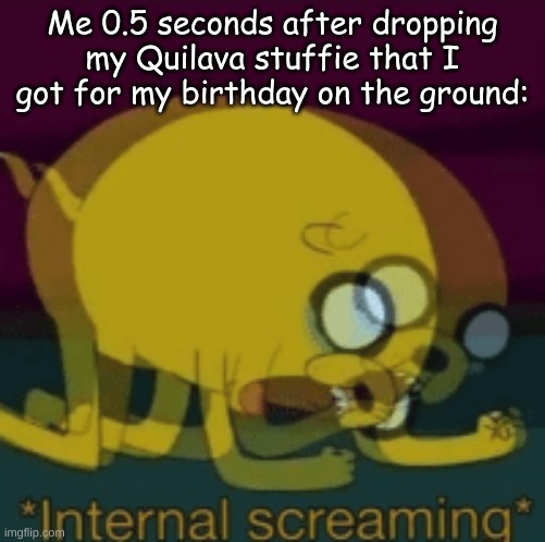 Jake The Dog Internal Screaming | Me 0.5 seconds after dropping my Quilava stuffie that I got for my birthday on the ground: | image tagged in jake the dog internal screaming | made w/ Imgflip meme maker
