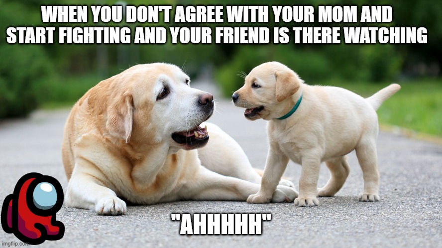 when your friend is there | WHEN YOU DON'T AGREE WITH YOUR MOM AND START FIGHTING AND YOUR FRIEND IS THERE WATCHING; "AHHHHH" | image tagged in puppy | made w/ Imgflip meme maker