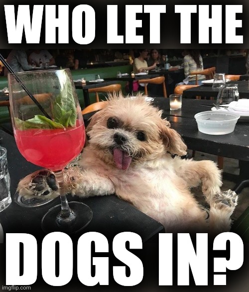 WHO LET THE DOGS IN? | made w/ Imgflip meme maker
