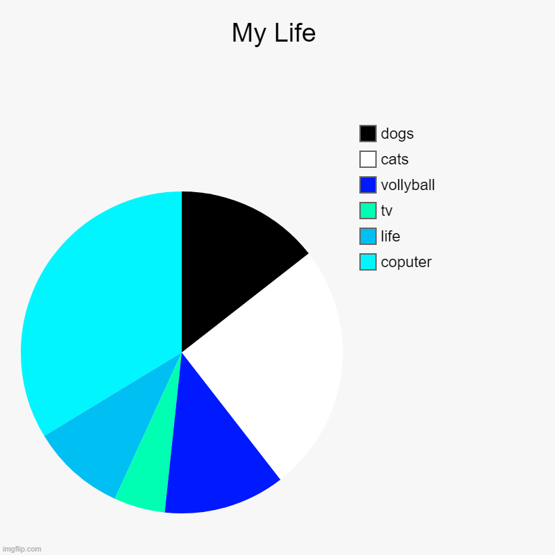 my life | My Life | coputer, life, tv, vollyball, cats , dogs | image tagged in charts,pie charts,pie chart | made w/ Imgflip chart maker