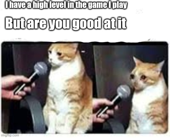 That's how it is sometimes | I have a high level in the game I play; But are you good at it | image tagged in sad cat,gaming | made w/ Imgflip meme maker