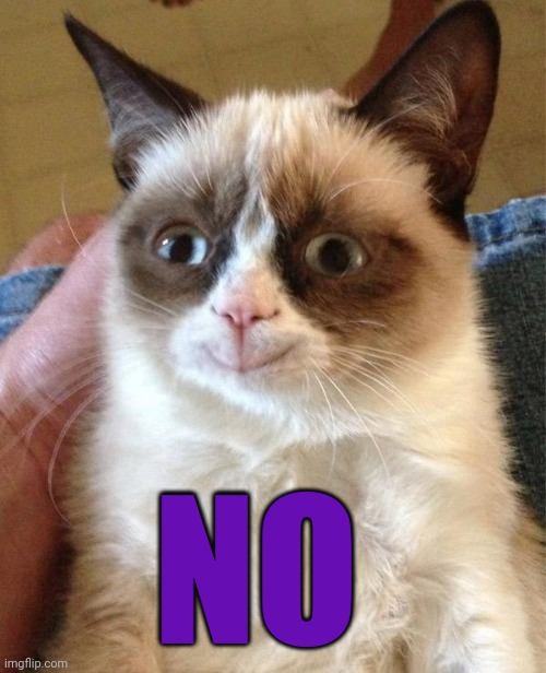 Grumpy Cat Happy Meme | NO | image tagged in memes,grumpy cat happy,grumpy cat | made w/ Imgflip meme maker