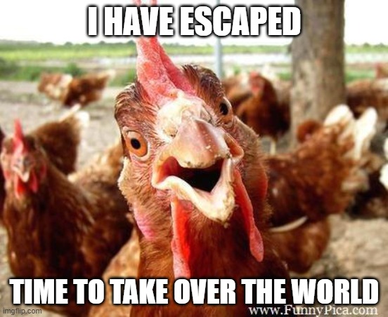 Chicken | I HAVE ESCAPED; TIME TO TAKE OVER THE WORLD | image tagged in chicken | made w/ Imgflip meme maker