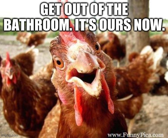 Oh Shit. I Need To Shit. | GET OUT OF THE BATHROOM. IT'S OURS NOW. | image tagged in chicken | made w/ Imgflip meme maker