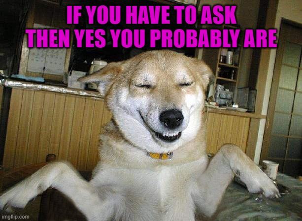 IF YOU HAVE TO ASK THEN YES YOU PROBABLY ARE | made w/ Imgflip meme maker