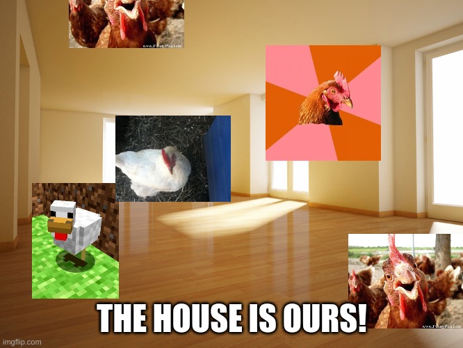 Chicken House | THE HOUSE IS OURS! | image tagged in empty house | made w/ Imgflip meme maker