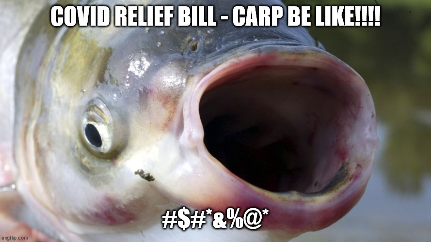 Carp Be Like | COVID RELIEF BILL - CARP BE LIKE!!!! #$#*&%@* | image tagged in carp,covid,covid-19,fish,stimulus | made w/ Imgflip meme maker