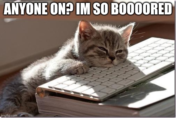 Bored Keyboard Cat | ANYONE ON? IM SO BOOOORED | image tagged in bored keyboard cat | made w/ Imgflip meme maker