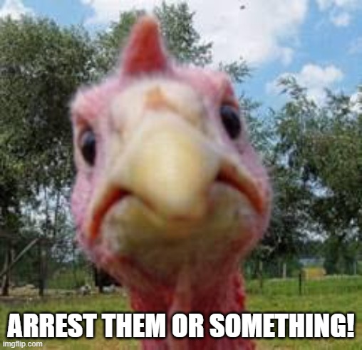 turkey | ARREST THEM OR SOMETHING! | image tagged in turkey | made w/ Imgflip meme maker