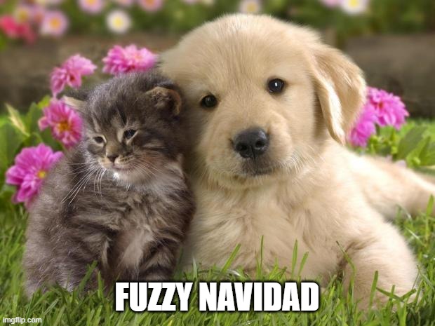 And a happy new year. | FUZZY NAVIDAD | image tagged in puppies and kittens,happy new year,merry christmas | made w/ Imgflip meme maker