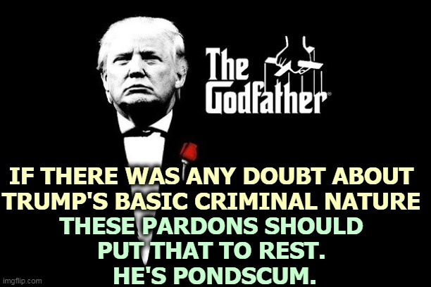 Trump coddles criminals because he is one himsef. | IF THERE WAS ANY DOUBT ABOUT TRUMP'S BASIC CRIMINAL NATURE; THESE PARDONS SHOULD 
PUT THAT TO REST. 
HE'S PONDSCUM. | image tagged in trump mafia crime boss godfather,trump,mob,boss | made w/ Imgflip meme maker