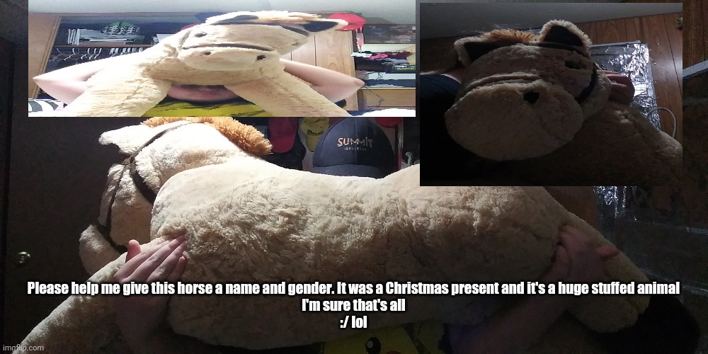 Hahaha, I have no idea what to do | Please help me give this horse a name and gender. It was a Christmas present and it's a huge stuffed animal 
I'm sure that's all

:/ lol | image tagged in hahaha,horses,names,names for things,stuffed animal,christmas presents | made w/ Imgflip meme maker