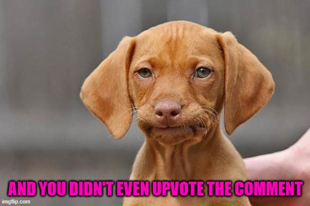 AND YOU DIDN'T EVEN UPVOTE THE COMMENT | made w/ Imgflip meme maker