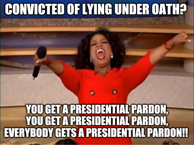 The Don takes care of The Family | CONVICTED OF LYING UNDER OATH? YOU GET A PRESIDENTIAL PARDON, YOU GET A PRESIDENTIAL PARDON, EVERYBODY GETS A PRESIDENTIAL PARDON!! | image tagged in donald trump | made w/ Imgflip meme maker