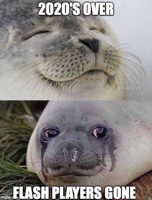 2020'S OVER; FLASH PLAYERS GONE | image tagged in happy seal,sad seal | made w/ Imgflip meme maker