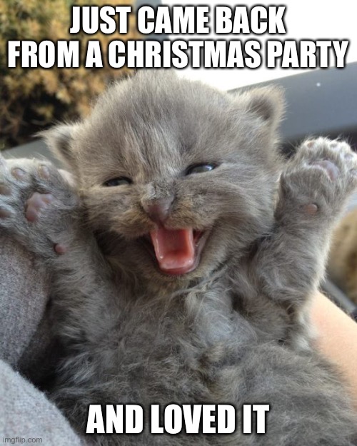 Announcement | JUST CAME BACK FROM A CHRISTMAS PARTY; AND LOVED IT | image tagged in yay kitty | made w/ Imgflip meme maker