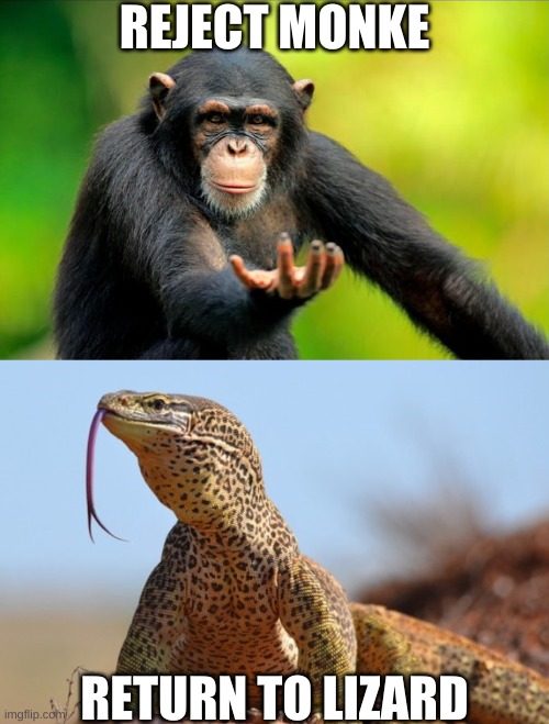 gnivlovE | REJECT MONKE; RETURN TO LIZARD | image tagged in lizard,monkey,rejection,humanity,evolution | made w/ Imgflip meme maker