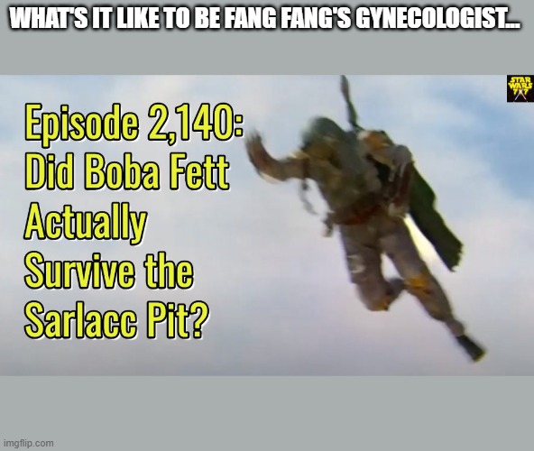 boba fett | WHAT'S IT LIKE TO BE FANG FANG'S GYNECOLOGIST... | image tagged in sarlacc pit | made w/ Imgflip meme maker