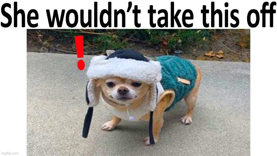made w/ Imgflip meme maker