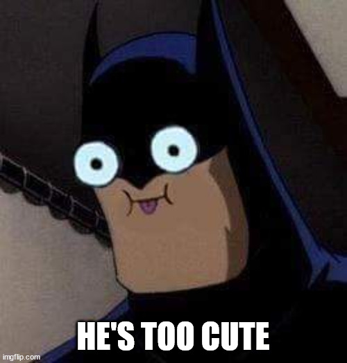 Too cute | HE'S TOO CUTE | image tagged in too cute | made w/ Imgflip meme maker