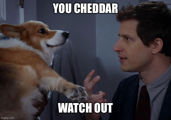 Extremely terrible pun brought to you by none other than my sister | YOU CHEDDAR; WATCH OUT | image tagged in bad pun,cheddar,you cheddar watch out,brooklyn nine nine,brooklyn 99,b99 | made w/ Imgflip meme maker