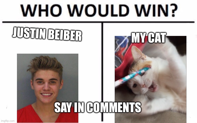 Who would win: Justin beiber or my cat | MY CAT; JUSTIN BEIBER; SAY IN COMMENTS | image tagged in memes,who would win | made w/ Imgflip meme maker