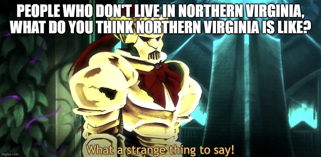 What a strange thing to say! | PEOPLE WHO DON'T LIVE IN NORTHERN VIRGINIA, WHAT DO YOU THINK NORTHERN VIRGINIA IS LIKE? | image tagged in what a strange thing to say | made w/ Imgflip meme maker
