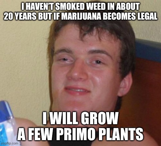 10 Guy Meme | I HAVEN’T SMOKED WEED IN ABOUT 20 YEARS BUT IF MARIJUANA BECOMES LEGAL; I WILL GROW A FEW PRIMO PLANTS | image tagged in memes,10 guy | made w/ Imgflip meme maker