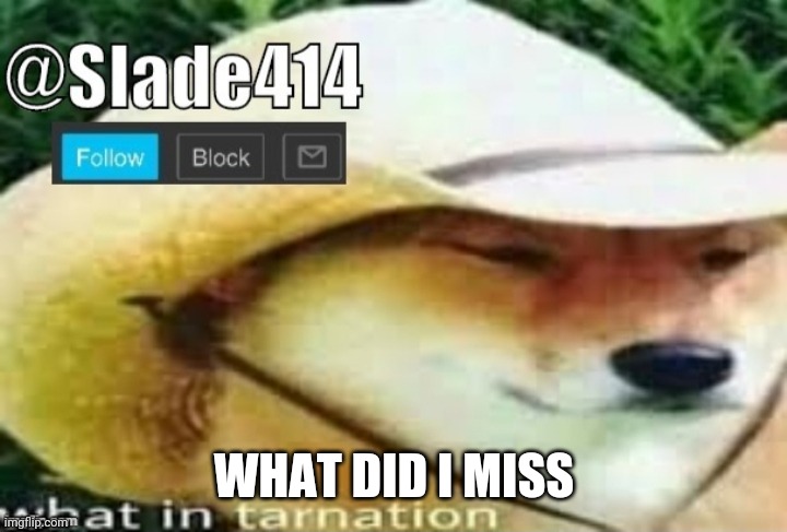 Slade414 announcement template 3.0 | WHAT DID I MISS | image tagged in slade414 announcement template 3 0 | made w/ Imgflip meme maker