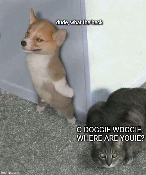 Dog hunter. | dude, what the heck; O DOGGIE WOGGIE, 
WHERE ARE YOUIE? | image tagged in cat | made w/ Imgflip meme maker