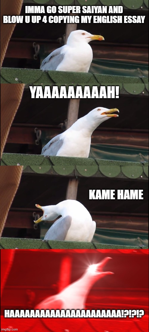 when my frnd copies my english essay and i get scolded | IMMA GO SUPER SAIYAN AND BLOW U UP 4 COPYING MY ENGLISH ESSAY; YAAAAAAAAAH! KAME HAME; HAAAAAAAAAAAAAAAAAAAAAA!?!?!? | image tagged in memes,inhaling seagull | made w/ Imgflip meme maker