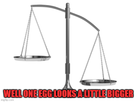 Fair and Un-Balanced | WELL ONE EGG LOOKS A LITTLE BIGGER | image tagged in fair and un-balanced | made w/ Imgflip meme maker