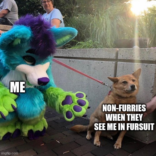 I don't know what to say guys | ME; NON-FURRIES WHEN THEY SEE ME IN FURSUIT | image tagged in dog afraid of furry | made w/ Imgflip meme maker