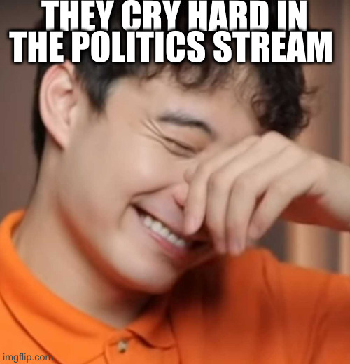 yeah right uncle rodger | THEY CRY HARD IN THE POLITICS STREAM | image tagged in yeah right uncle rodger | made w/ Imgflip meme maker