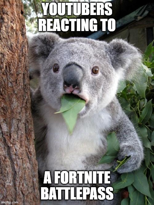 Surprised Koala | YOUTUBERS REACTING TO; A FORTNITE BATTLEPASS | image tagged in memes,surprised koala | made w/ Imgflip meme maker