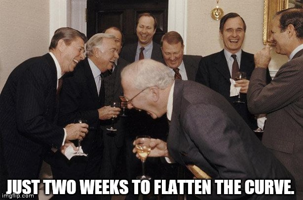 And Then He Said | JUST TWO WEEKS TO FLATTEN THE CURVE. | image tagged in and then he said | made w/ Imgflip meme maker