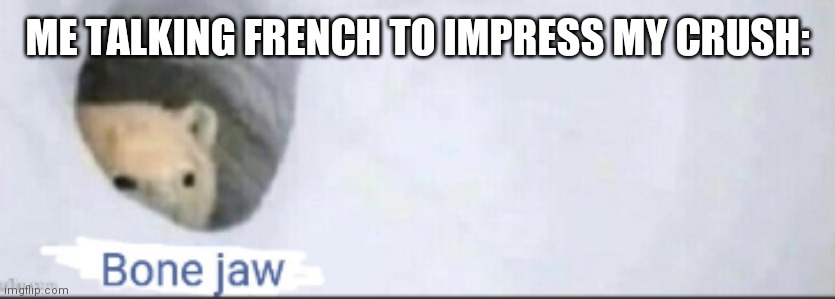 Bone Jaw | ME TALKING FRENCH TO IMPRESS MY CRUSH: | image tagged in bone jaw | made w/ Imgflip meme maker