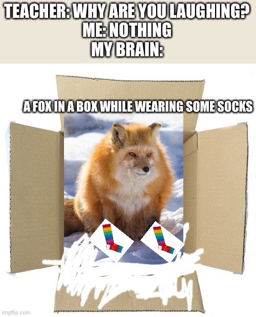 I drew on snow on box because of fox with socks | TEACHER: WHY ARE YOU LAUGHING?
ME: NOTHING
MY BRAIN:; A FOX IN A BOX WHILE WEARING SOME SOCKS | image tagged in fox,box,socks | made w/ Imgflip meme maker