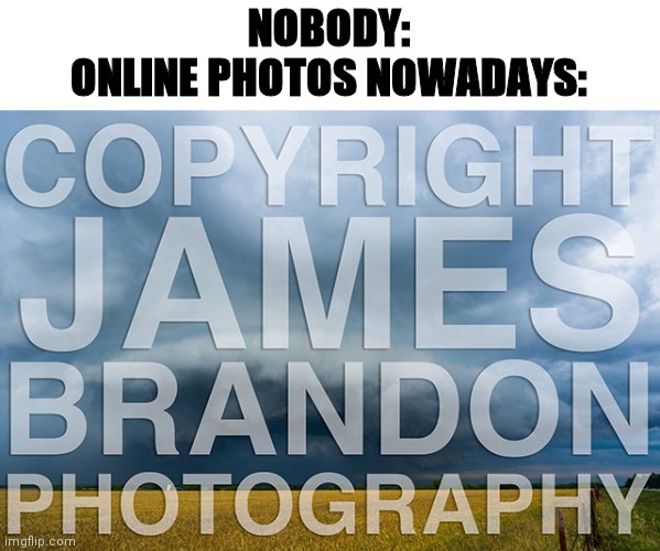 NOBODY:
ONLINE PHOTOS NOWADAYS: | image tagged in lol | made w/ Imgflip meme maker