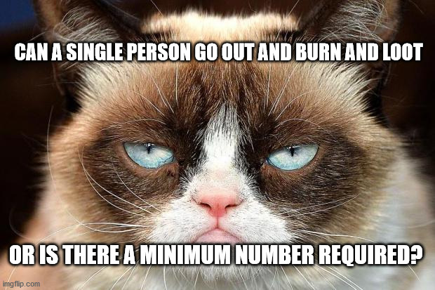 Grumpy Cat Not Amused | CAN A SINGLE PERSON GO OUT AND BURN AND LOOT; OR IS THERE A MINIMUM NUMBER REQUIRED? | image tagged in memes,grumpy cat not amused,grumpy cat | made w/ Imgflip meme maker