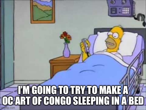 Notice that I said “try”. | I’M GOING TO TRY TO MAKE A OC ART OF CONGO SLEEPING IN A BED | image tagged in homer hospital bed,oc | made w/ Imgflip meme maker
