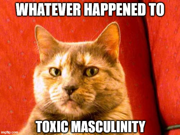 Suspicious Cat Meme | WHATEVER HAPPENED TO; TOXIC MASCULINITY | image tagged in memes,suspicious cat | made w/ Imgflip meme maker